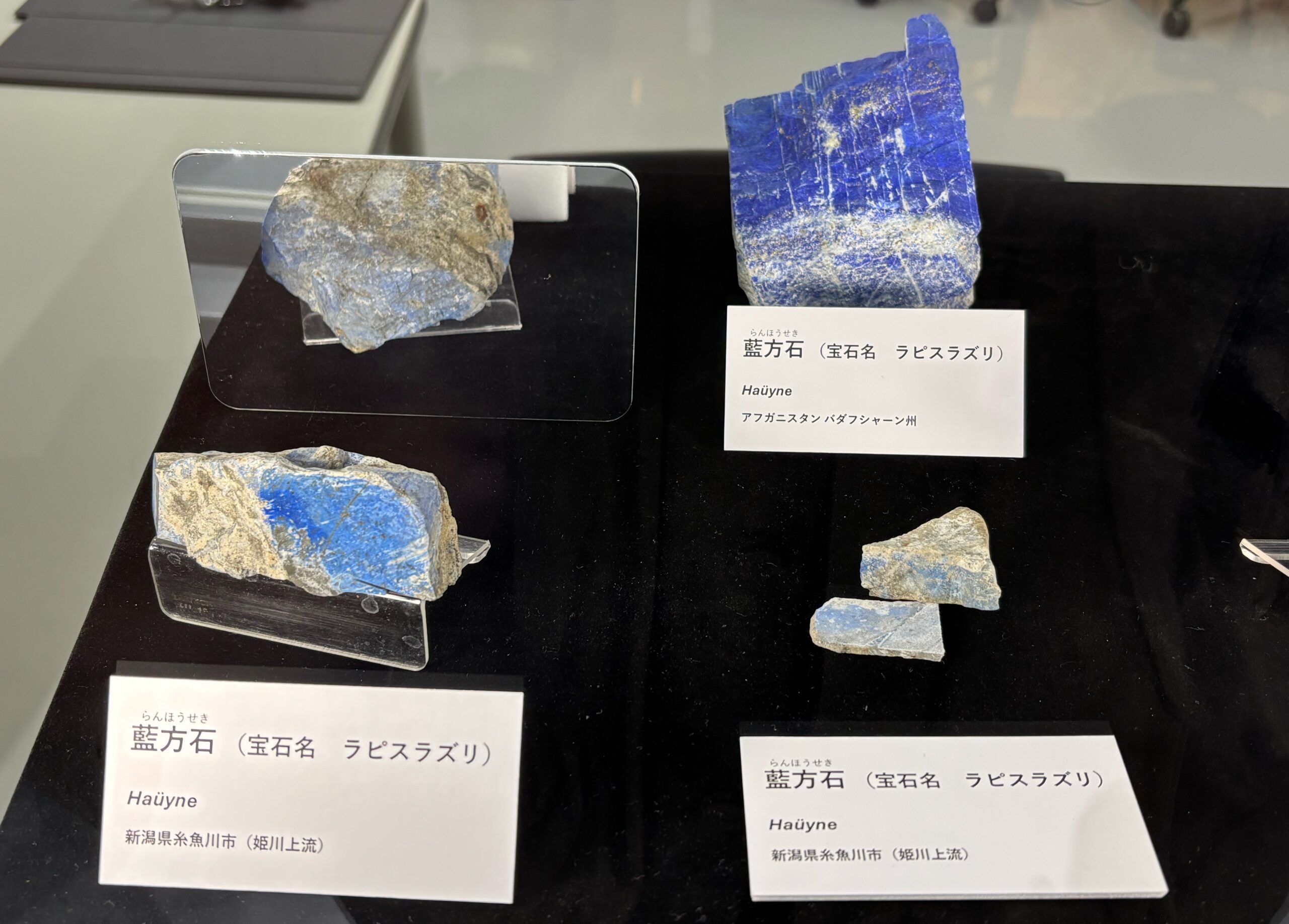 『日本産ラピスラズリ』を見に筑波市の「実験植物園」に行ってきました